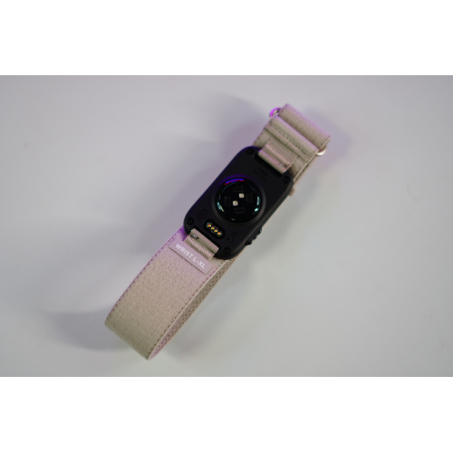 Garmin CIRQA Smart Band French Gray L\XL 010-04675-01
