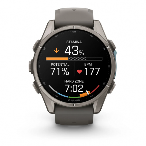 Garmin Fenix 9 43mm AMOLED Titanium with Pebble Gray Silicone Band 010-04761-10